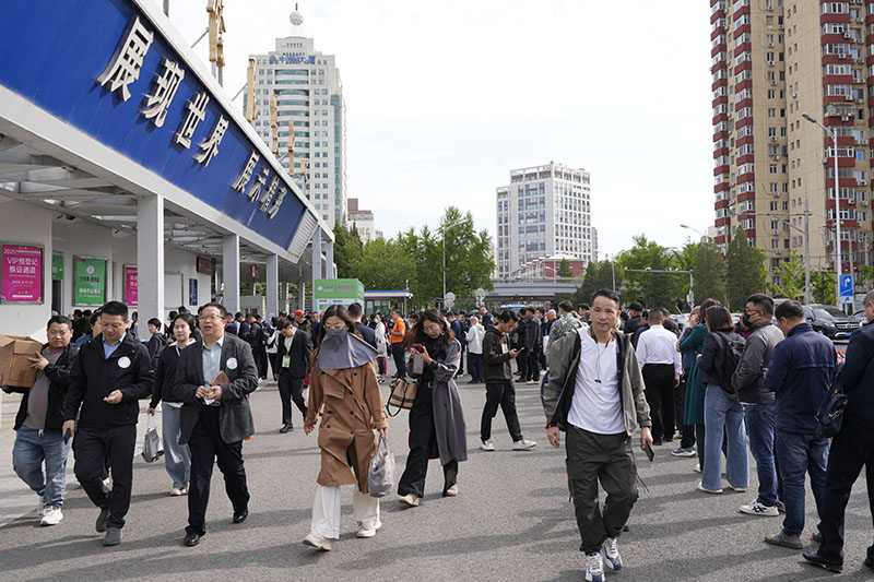 _DSC6355.jpg _DSC6355.jpg